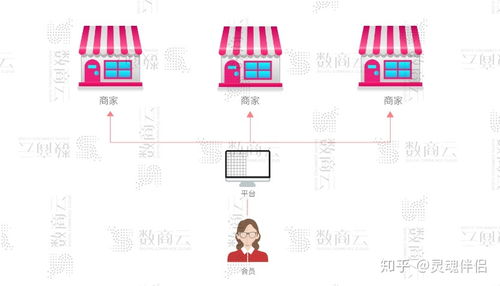 b2b2c多用户商城系统,功能 渠道 架构 商业模式整合方案